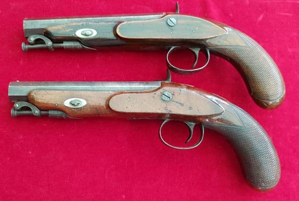 A rare pair of English percussion travelling pistol by W. Wilkinson of London. Circa 1835. Ref 2873